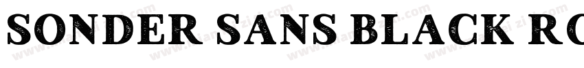 Sonder Sans Black Rough字体转换